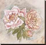 Panneau victorien-pivoines Reproduction transférée sur toile par Peggy Abrams
