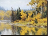 Pond In Autumn Stretched Canvas Print by Clyde Aspevig