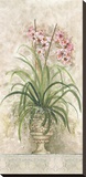 Orchid Revival ll Stretched Canvas Print by Peggy Abrams