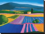 Parterre De Lavande Stretched Canvas Print by Elisabeth Estivalet