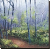 Early Spring Woods Stretched Canvas Print by Robert Striffolino