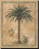 Phoenix Canariensis Stretched Canvas Print by Betty Whiteaker
