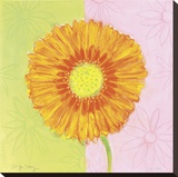 Orange Daisy Stretched Canvas Print by Dona Turner