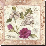 A Lily And Rose Page Stretched Canvas Print by  Martin