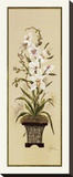 Orchidée II Reproduction transférée sur toile par Constance Lael