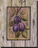 Prune Fructus Reproducción en lienzo de la lámina por Constance Lael