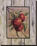 Fruto de manzana Reproducción en lienzo de la lámina por Constance Lael
