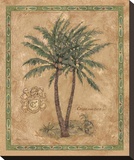 Cocos Nucifera Stretched Canvas Print by Betty Whiteaker
