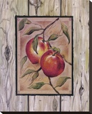 Peche Fructus Reproducción en lienzo de la lámina por Constance Lael