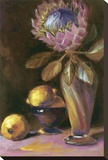 Protea Exotica Stretched Canvas Print by Shari White