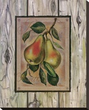 Poire Fructus Reproducción en lienzo de la lámina por Constance Lael