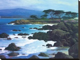 Coastline At Pacific Grove Stretched Canvas Print by Brian Blood
