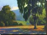 Eucalyptus Sunset Stretched Canvas Print by Brian Blood