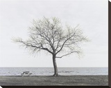 Bench: Bridgeport, CT Stretched Canvas Print by Maya Nagel