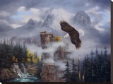 Eagle's Domain Stretched Canvas Print by Rudi Reichardt