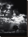 The Veil Of The Sky Stretched Canvas Print by Stephen Rutherford-Bate