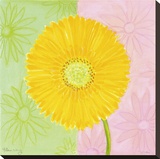 Yellow Daisy Stretched Canvas Print by Dona Turner