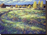 Grasslands Stretched Canvas Print by Claude Rousseau