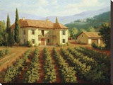 Tuscan Vineyard Stretched Canvas Print by Roger Williams