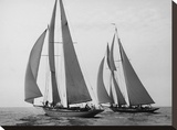 Sailboats Race during Yacht Club Cruise Stretched Canvas Print by Edwin Levick