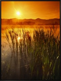 Sunrise over a Misty Pond and the Presidential Mountains Framed Canvas Print by Richard Nowitz