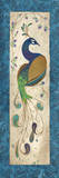Peacock III Print by Steve Leal