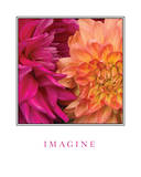 Imagine Flowers Posters by Maureen Love