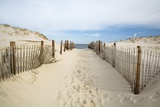 Quiet Beach Prints by Stephen Mallon