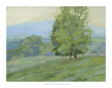 Hazy Day Prints by Stephen Calcasola