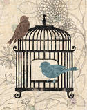 Birds & Blooms II Prints by Todd Williams