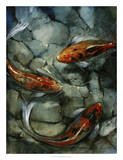 Tres Koi II Poster by Tim O'toole