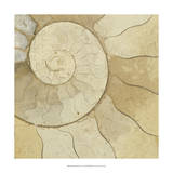 Organic Elements V Prints