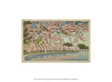 Cherry Blossom Time Poster