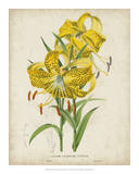 Tropical Array IV Posters by Van Houtteano 
