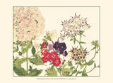 Small Japanese Flower Garden II Affiche par Konan Tanigami