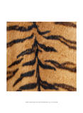 Animal Instinct III Prints by Vision Studio