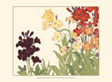 Small Japanese Flower Garden I Affiches par Konan Tanigami