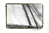 Undersail III Prints by Laura Denardo
