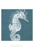 Coastal Menagerie VIII Prints by Vision Studio