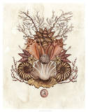 Baroque Nautilus II Posters by Naomi McCavitt
