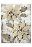 Poinsettia Study II Print by Tim O'toole