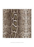 Animal Instinct V Prints by Vision Studio