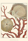 Coastal Collection II Pósters