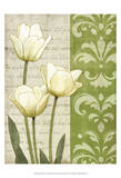 White Tulips Prints by matt patterson