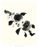 Studies in Ink - Camellia Affiches par Nan Rae