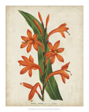 Tropical Array VIII Print by Van Houtteano 