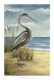 Shore Bird I Affiche par Ethan Harper