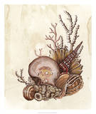 Baroque Nautilus I Posters by Naomi McCavitt