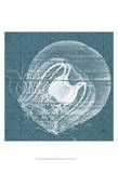 Coastal Menagerie IX Posters by Vision Studio