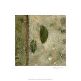 Earthen Textures III Limited Edition by Beverly Crawford